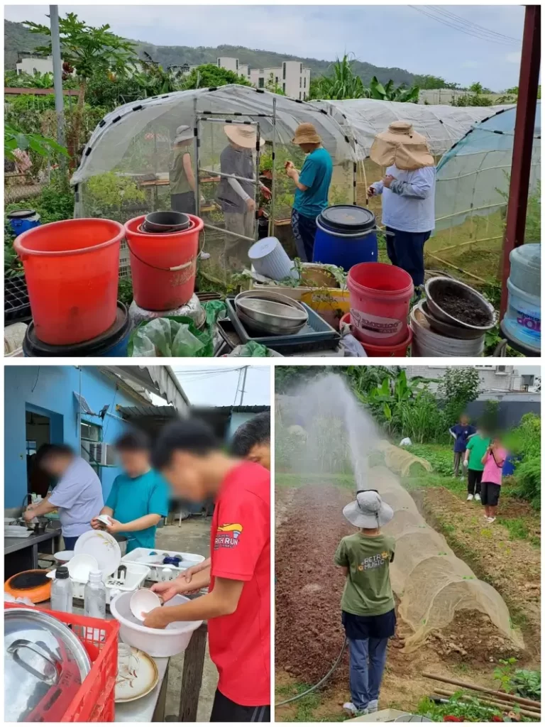 青年人落田體驗 吃飯洗碗與人交流